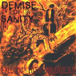 Demise Of Sanity (USA) : Falling into Madness